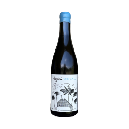 Grecanico bianco