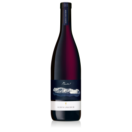 Merlot D.O.C