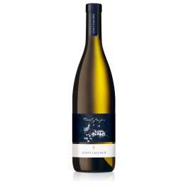 Pinot Grigio D.O.C