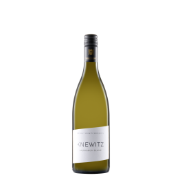 Sauvignon Blanc Gutswein trocken