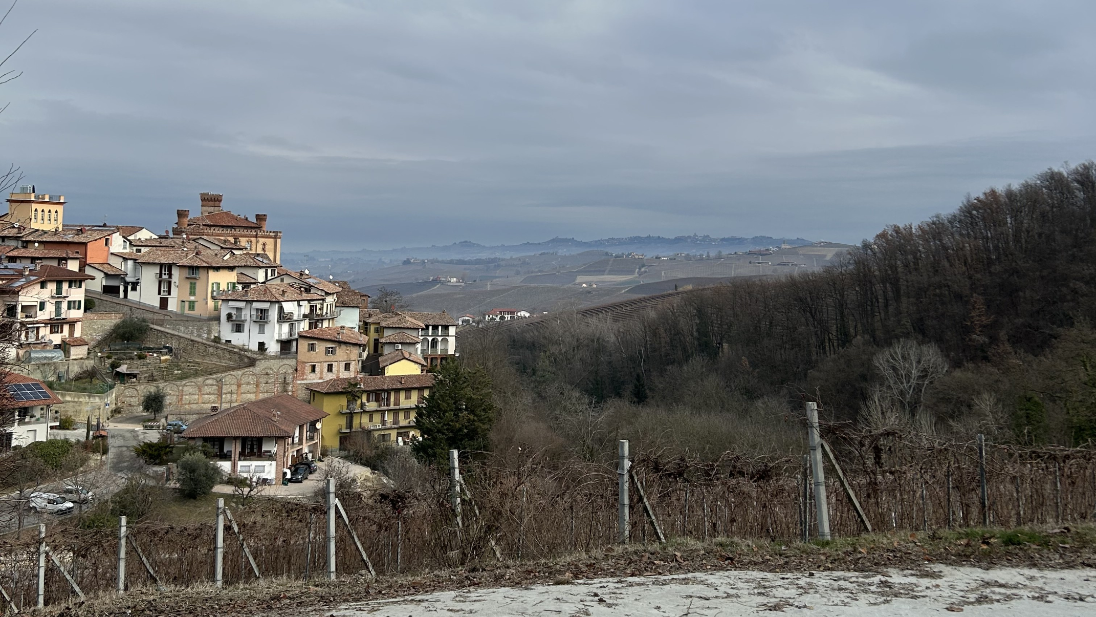 Az. Agr. Philine Isabelle