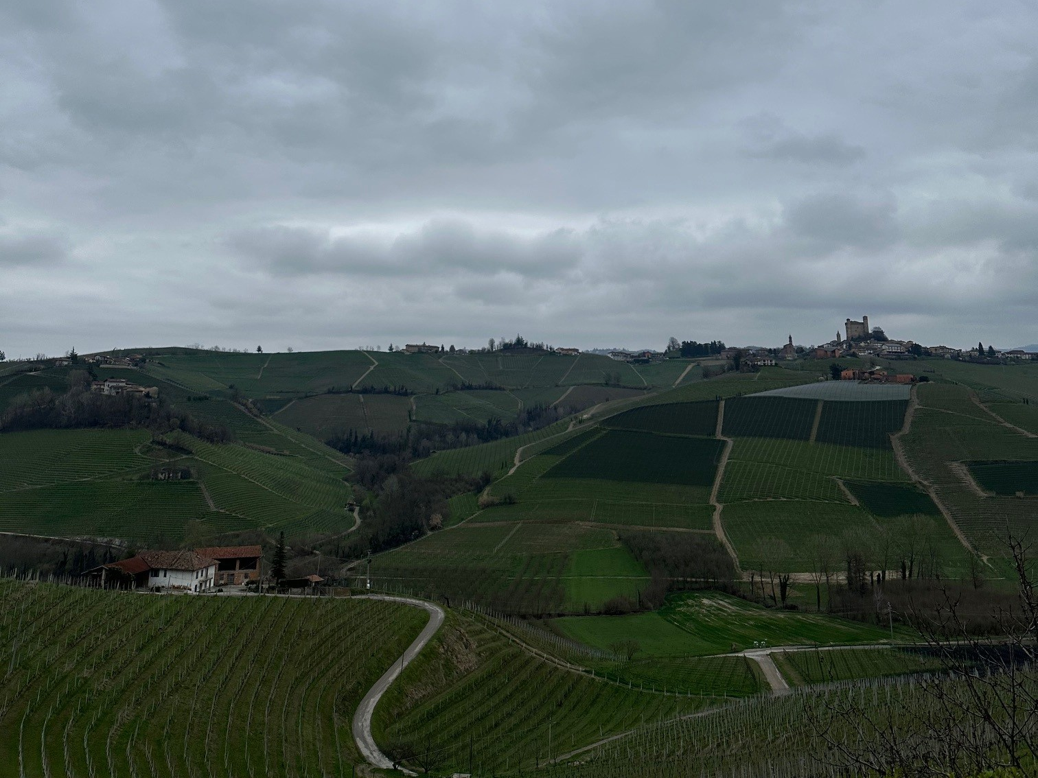 Az. Agr. Elio Sandri