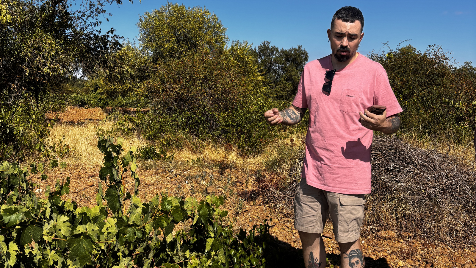 Vinos El Serbal - Adrián Alonso Camarero