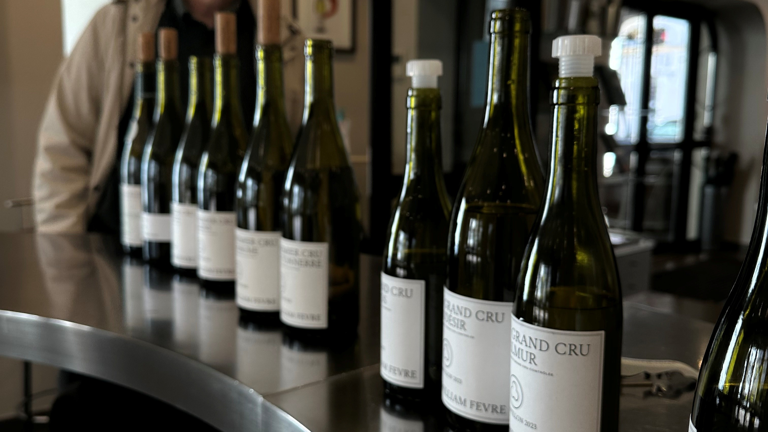 Domaine William Fevre