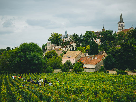 Domaine Vincent Dureuil-Janthial