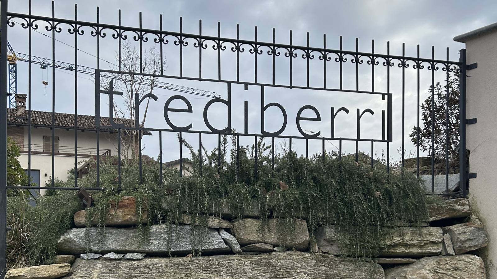 Trediberri