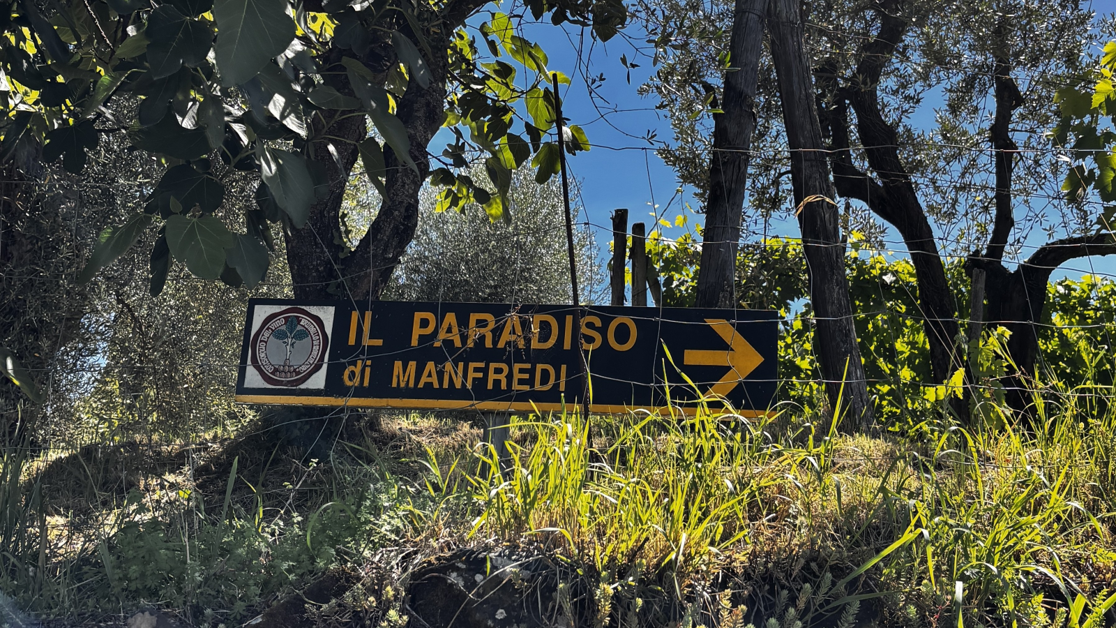 Az. Agr. Il Paradiso di Manfredi