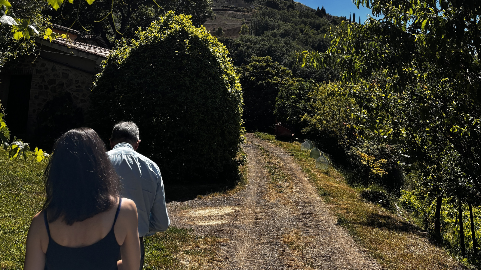 Az. Agr. Il Paradiso di Manfredi