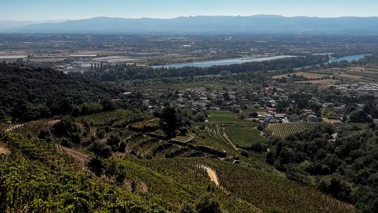 Domaine Cuchet-Béliando