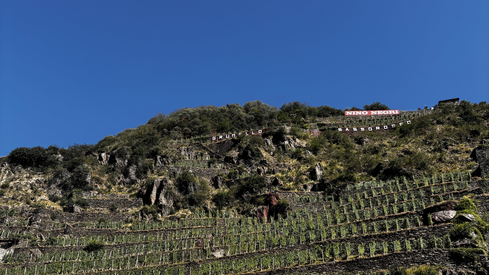 Winery Image