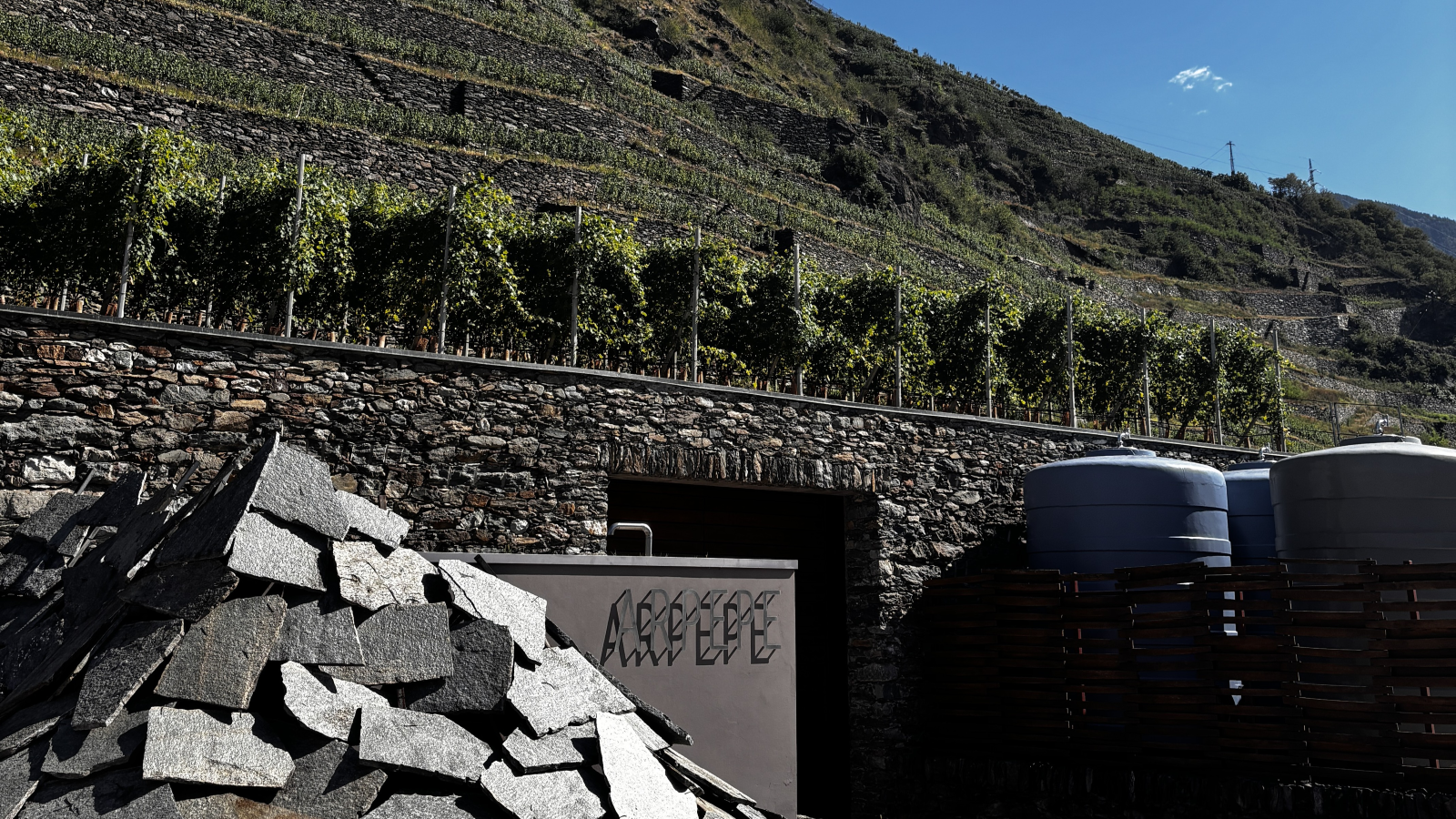 Arpepe